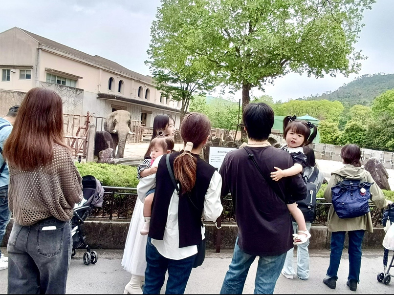 保育園「動物園・遠足」舟入園